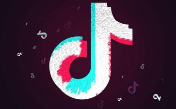 抖音达人合同8篇