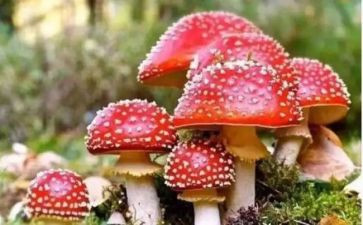 禁毒教育心得8篇
