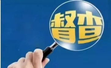 督查小组督查工作报告6篇