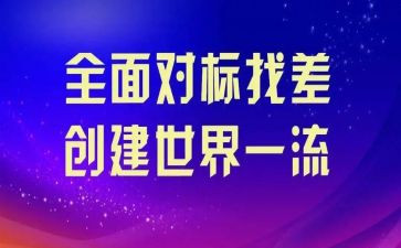 对标检查自查报告6篇