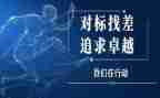 八项规定对标自查报告7篇