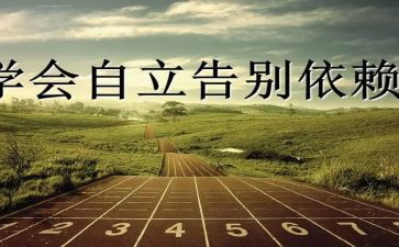 公司独立董事做的述职报告6篇