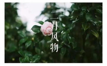 幼儿园2024十二月份月计划6篇