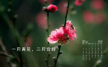 中班二月份月工作计划8篇