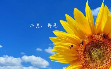 二月份工作总结优秀7篇