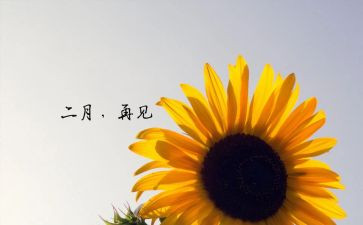 幼儿园中班二月总结6篇