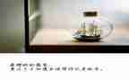 幼儿园半开放日活动总结6篇