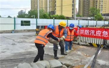 2024年防洪水作文最新6篇