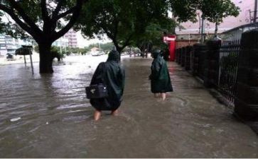 720防汛救灾心得体会5篇