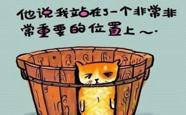 大反思活动总结模板6篇