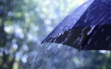 东风雨读后感8篇