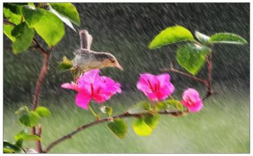 听风雨读后感7篇
