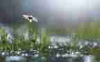 风雨桥读后感8篇