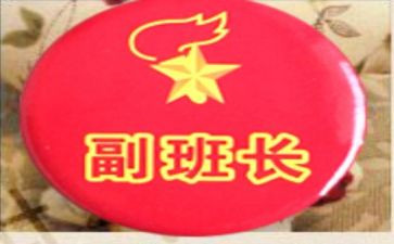 大学副班长述职报告参考6篇