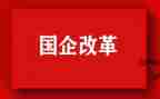 改革自查报告6篇