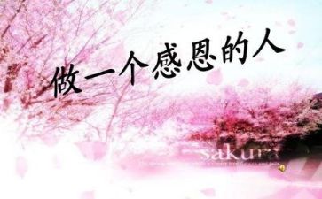 感恩学校感恩老师演讲稿7篇