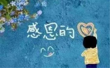 感恩教师演讲稿800字6篇