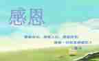 教师感恩老师演讲稿参考8篇