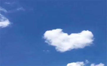 中班小猪变干净了教案7篇