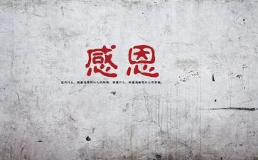 感谢小学母校的作文7篇