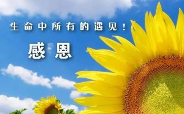 我要感谢老师的作文7篇