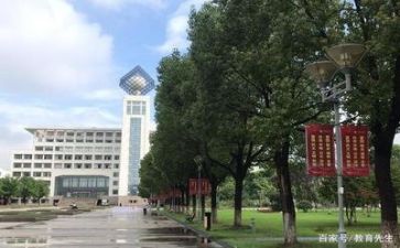 高校教师科研工作总结6篇