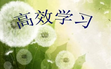 高效的心得体会5篇