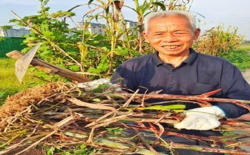 红高粱读后感5篇