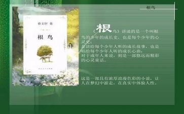 根鸟读后感6篇