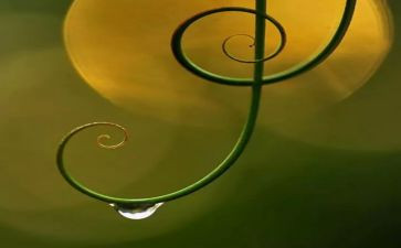 在歌声中成长作文5篇