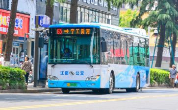 公交司机年终总结精选5篇