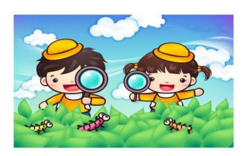 关于观察植物的作文通用8篇