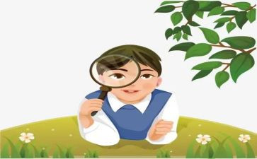 观察的心得优质6篇
