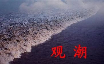观潮读后感250字优质8篇