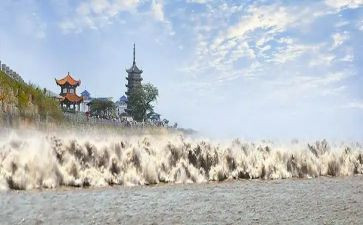 四年级观潮读后感优质7篇