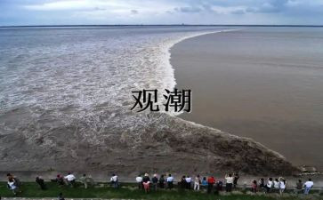 观潮读后感800字优质5篇