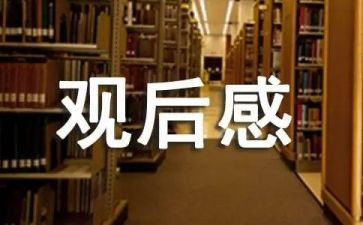 观看安全教育片观后感5篇