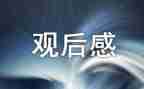 法治心得观后感5篇