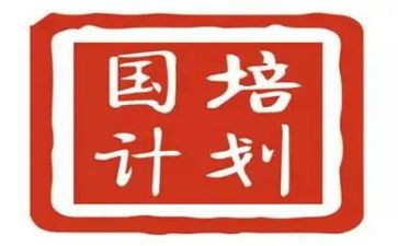 国培计划语文研修总结5篇