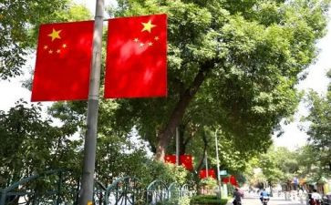 爱国旗演讲稿小学优质6篇