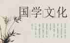 《国学》读后感5篇