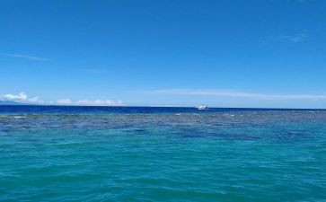 海垦党支部述职报告8篇