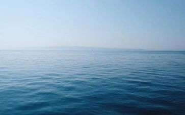 深圳的海作文7篇