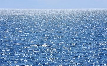 海免读后感优质6篇
