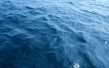 神秘的海客读后感8篇