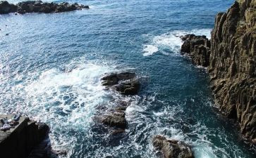 深圳的海作文参考7篇
