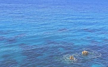 海宣读后感模板7篇
