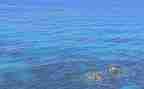 海宣读后感模板7篇