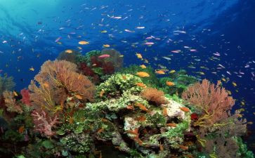 海底两万里读后感最新5篇