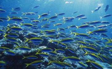 海底20230里的读后感优秀8篇
